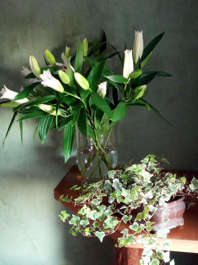 La Fonte Bed & Breakfast Fontanafredda ภายนอก รูปภาพ